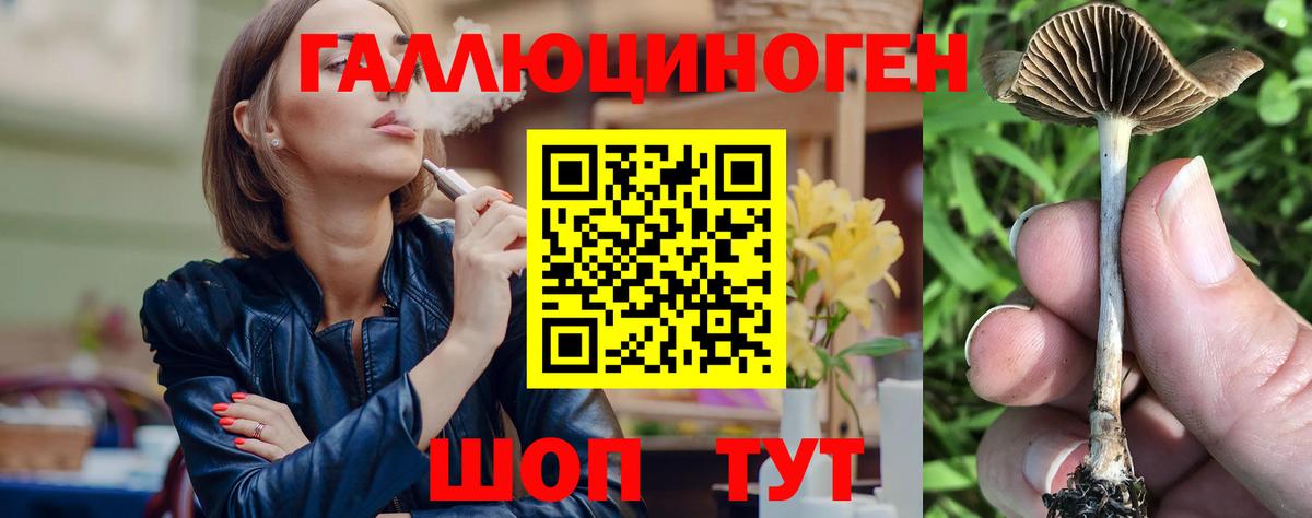 Галлюциногенные грибы Cubensis Луга